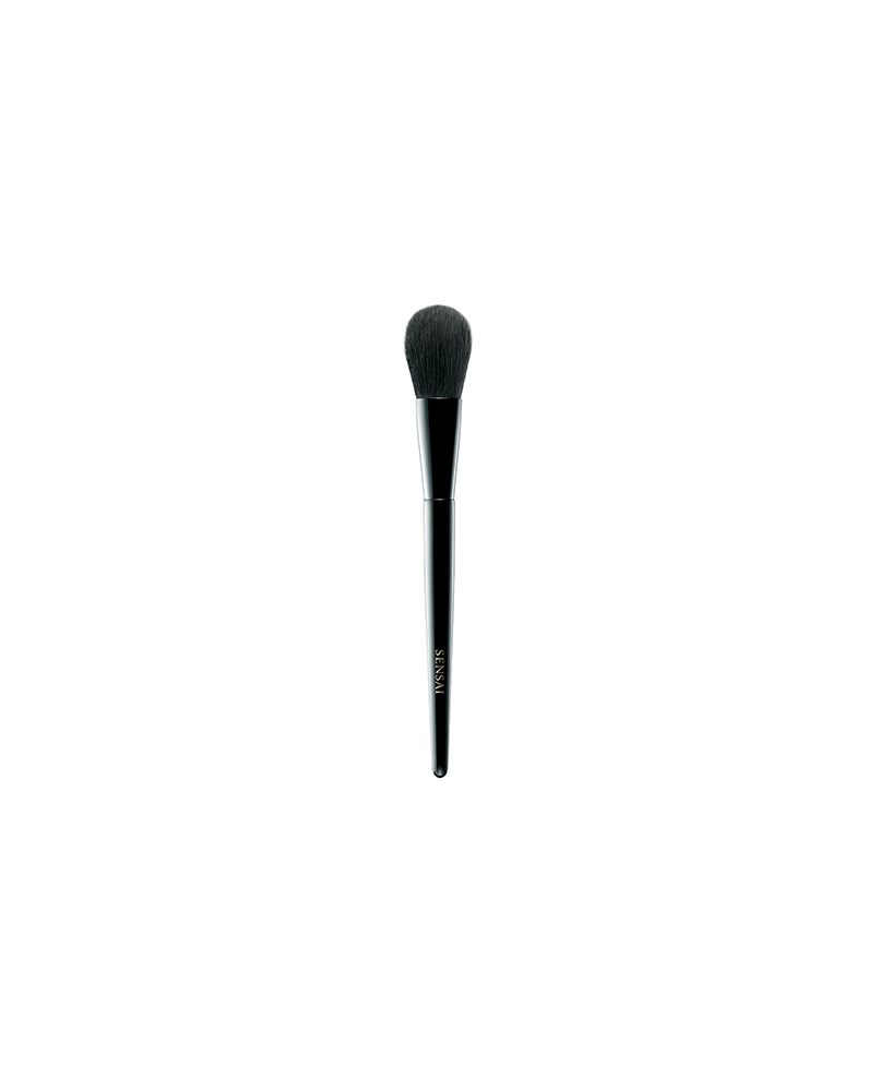 1 - CHEEK BRUSH