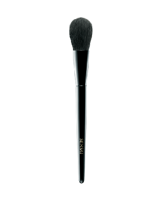 1 - CHEEK BRUSH