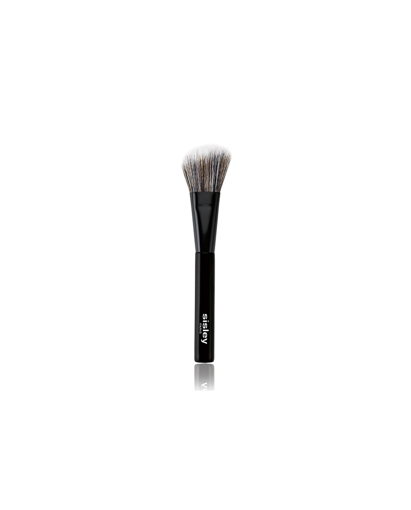 1 - PINCEAU BLUSH