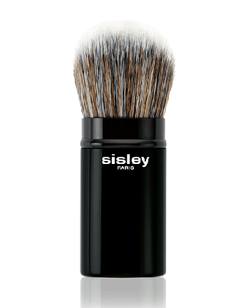 1 - PINCEAU PHYTO TOUCHE