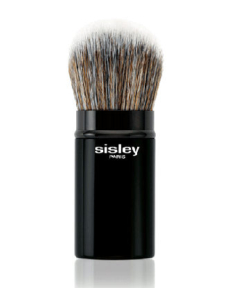 1 - PINCEAU PHYTO TOUCHE