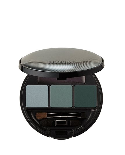 4 - EYE SHADOW PALETTE