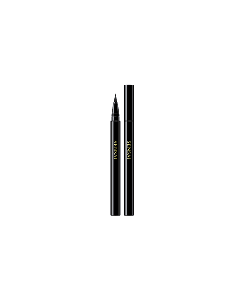 1 - DESIGNING LIQUID EYELINER