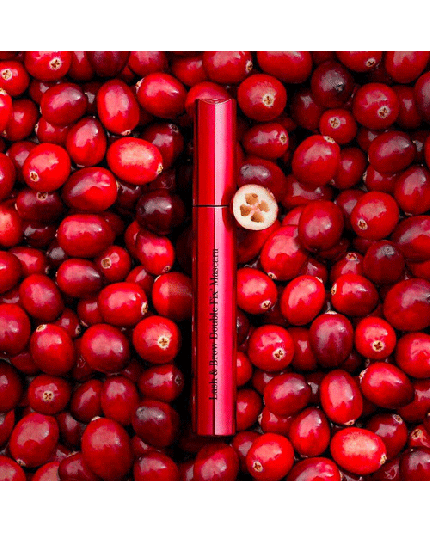 4 - LASH E BROW DOUBLE FIX' MASCARA