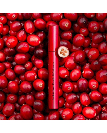 4 - LASH E BROW DOUBLE FIX' MASCARA