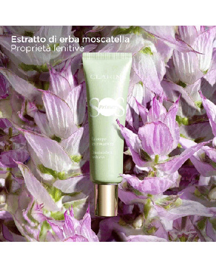 4 - SOS PRIMER VERDE