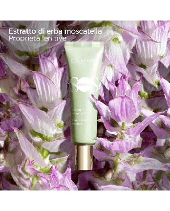 4 - SOS PRIMER VERDE