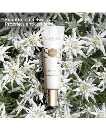 4 - SOS PRIMER BIANCO