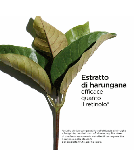 4 - MULTI-INTENSIVE ESSENCE DE JEUNESSE DÉFROISSANTE