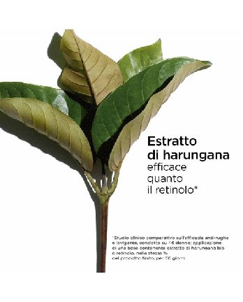 4 - MULTI-INTENSIVE ESSENCE DE JEUNESSE DÉFROISSANTE