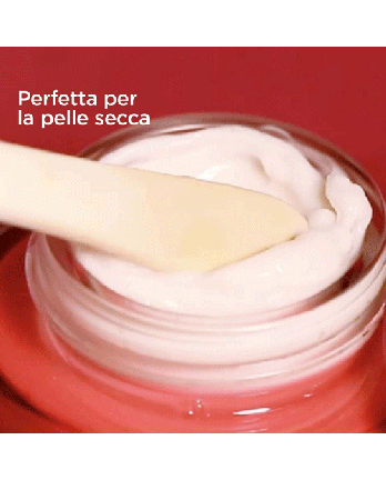 3 - MULTI-INTENSIVE JOUR