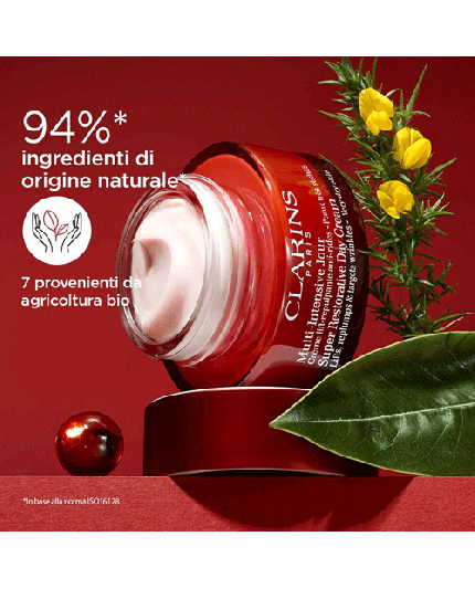 6 - MULTI-INTENSIVE JOUR