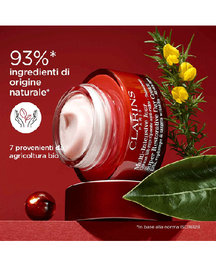 4 - MULTI-INTENSIVE JOUR