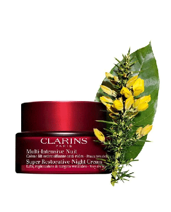 2 - MULTI-INTENSIVE NUIT
