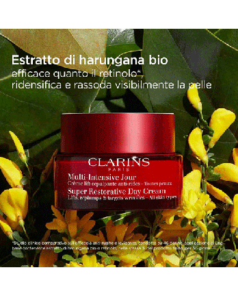 6 - MULTI-INTENSIVE NUIT