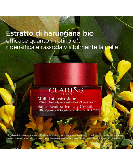 6 - MULTI-INTENSIVE NUIT