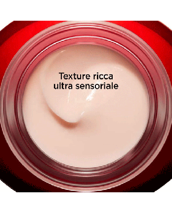 7 - MULTI-INTENSIVE NUIT