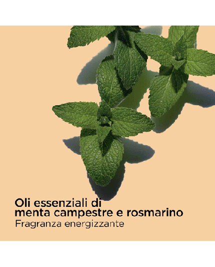 4 - AROMA BAIN AUX PLANTES TONIC