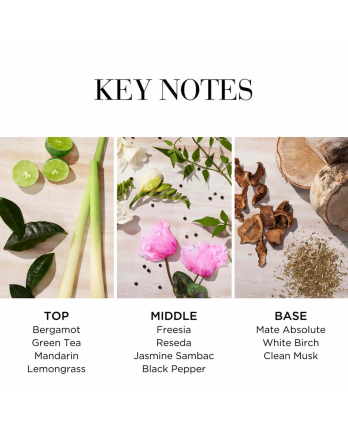 4 - GREEN TEA CITRON FREESIA EDT 100ML