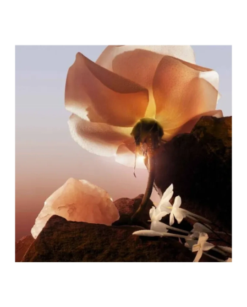 4 - Idôle Le Parfum Ricarica Eau De Parfum 100ml