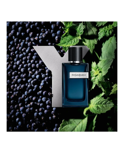3 - Y Eau De Parfum Intense 60ml