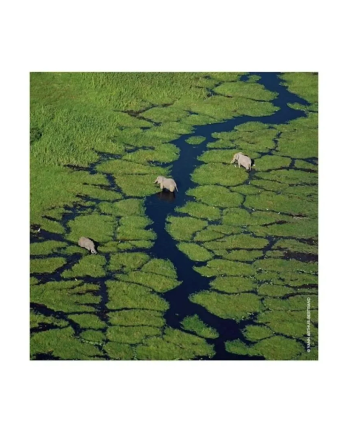 3 - AQUA ALLEGORIA ORANGE SOLEIA - EAU DE TOILETTE Spray 125 ML