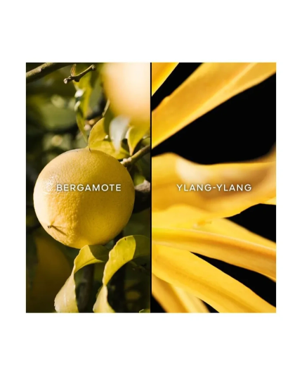 4 - Terracotta Eau De Toilette 75ml