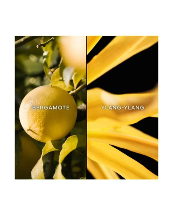 4 - Terracotta Eau De Toilette 75ml