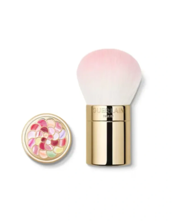 1 - Météorites Pinceau Poudre