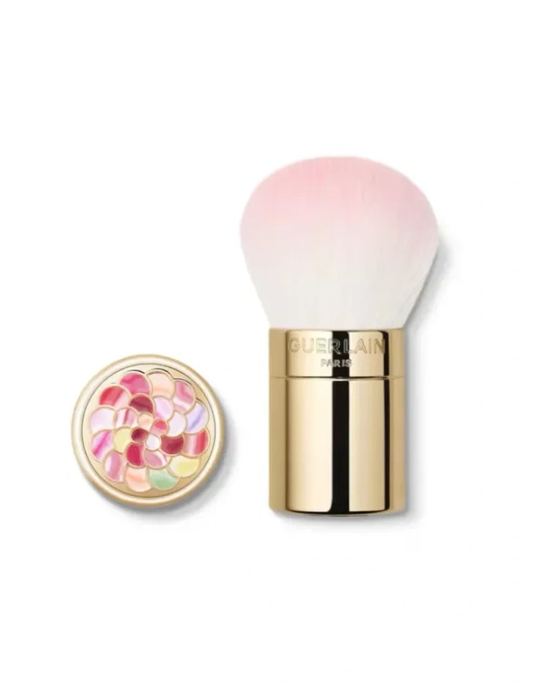 1 - Météorites Pinceau Poudre