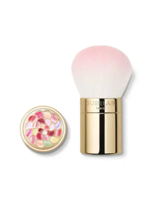 1 - Météorites Pinceau Poudre