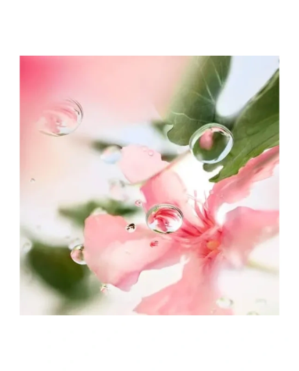 4 - ÔVER THE TOP Eau de Toilette 100ml