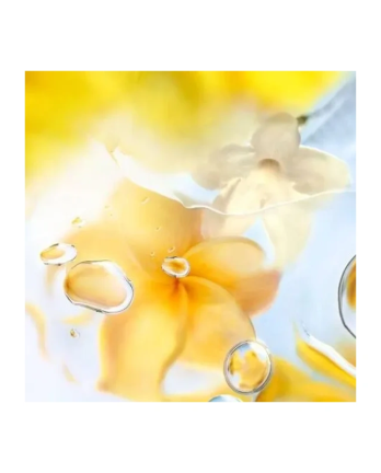 4 - Ô ZENITH Eau de Toilette 100ml