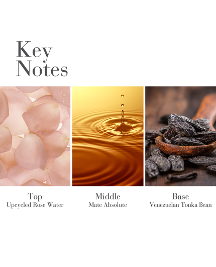 3 - WHITE TEA 30ML