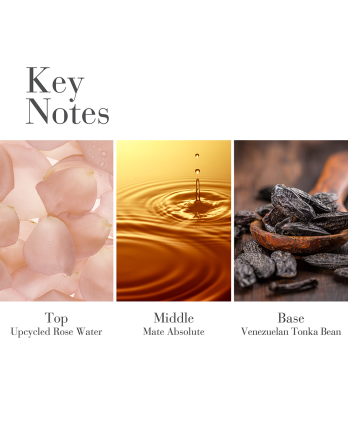 3 - WHITE TEA 30ML