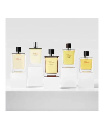 4 - Terre D'Hermes Intense - EDP (ricaricabile) - Contenuto: 50 ml