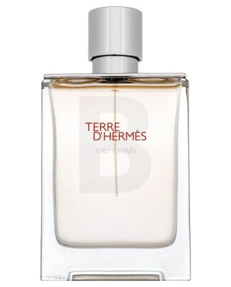 1 - Terre d'Hermès Eau Givrée - Eau de parfum ricaricabile per uomo 100 ml