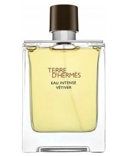 1 - Terre d'Hermes Eau Intense Vetiver Eau de Parfum per uomo 100 ml