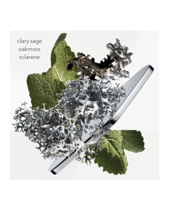 5 - H24 Eau de parfum 100 ml