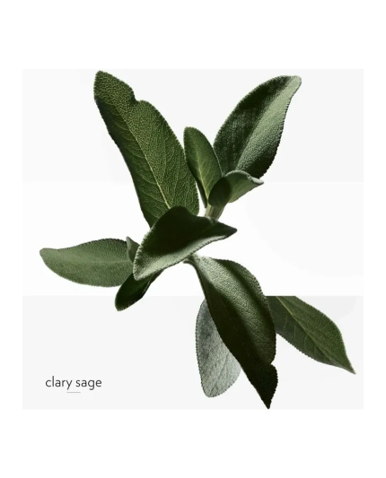 4 - H24 Deodorant Stick 75ml