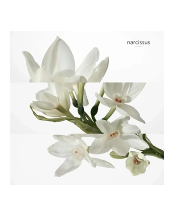 5 - H24 Deodorant Stick 75ml