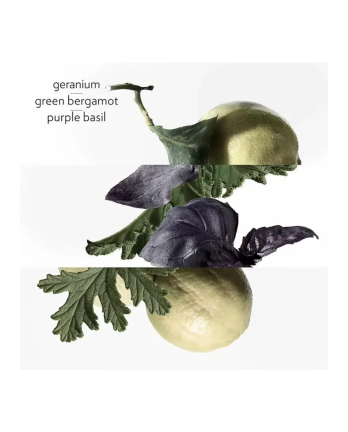 4 - Eau de basilic pourpre Eau de cologne 100 ml