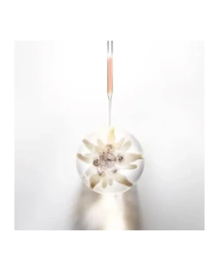 3 - Prodigy Cell Glow Firming Cream 50 ml