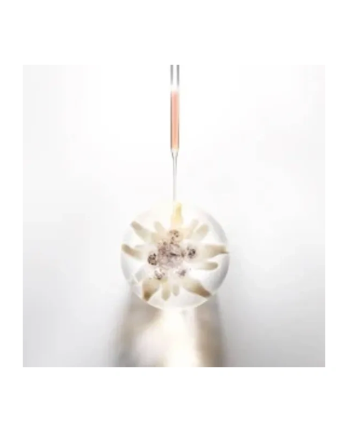 3 - Prodigy Cell Glow Firming Cream 50 ml