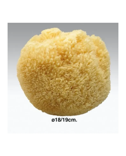 1 - Spugna Da Bagno Naturale 18-19cm