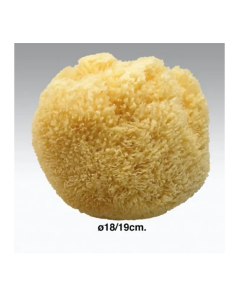 1 - Spugna Da Bagno Naturale 18-19cm