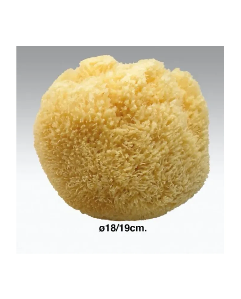 1 - Spugna Da Bagno Naturale 18-19cm