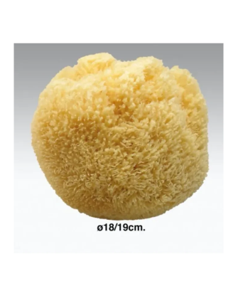1 - Spugna Da Bagno Naturale 18-19cm
