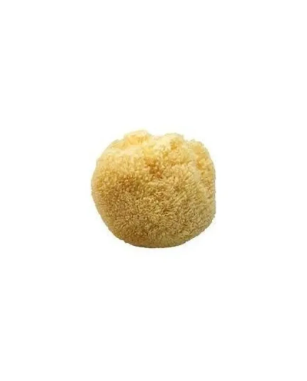1 - Spugna da bagno naturale diametro 15