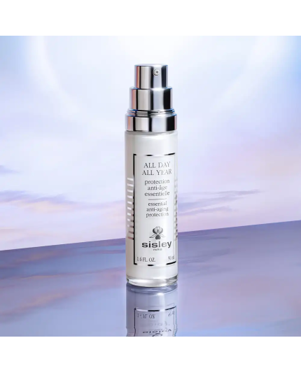 5 - All Day All Year